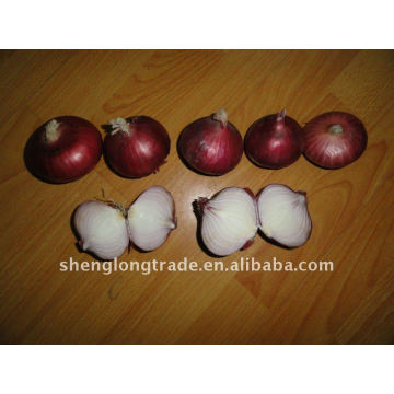 chinese fresh red shallot onion